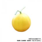 同梱・代引不可 小林�