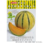 同梱・代引不可 小林�