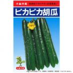 同梱・代引不可 小林種苗 キュウリ種子 ピカピカ　3　