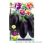 同梱・代引不可 小林種苗 ナス種子 ぼうや茄子　1-8-6