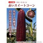 同梱・代引不可 小林種苗 スイートコーン種子 赤いス