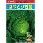 同梱・代引不可 小林種苗 キャベツ種子 はやどり甘藍