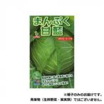 同梱・代引不可 小林種苗 キャベツ種子 まんぷく甘藍