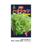 同梱・代引不可 小林種苗 レタス種子 ハオシャン (好