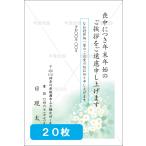 喪中はがき印刷 年賀欠礼 私製 官製 普通郵便 校正あり 選べる挨拶文・書体 デザイン１０　20枚 【M-10】