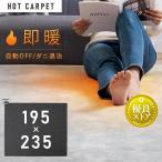 ショッピングカーペット ホットカーペット 3畳 本体 TEKNOS  195×235cm おしゃれ 節電 ダニ退治 折り畳み 温度調節 電気カーペット 電気マット 3畳用 テクノス HC-IR300