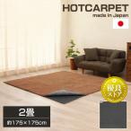  hot carpet 2 tatami body made in Japan domestic production carpet electric electric carpet WHC-205GR