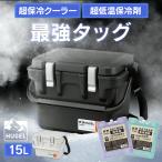 クーラーボックス 小型 釣り 15L 真空断熱 保冷 トレー付 ハンドル 持ち手 肩掛け ショルダーベルト HUGEL VITC-15 アイリスオーヤマ *