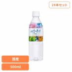 水 500ml 24本 天然水 ペットボトル ミネラルウォーター 四季の恵み 軟水
