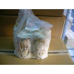 微創研製培養レイシ材S5玉