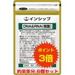 DNA＆RNA 核酸 6個セット / 6ヵ月分 / 送料無料 / ポイント3倍