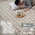 ラグ カーペット 190×190 2畳 滑り止め 冬用 ラグマットホットカーペット可 床暖房可 洗える もこもこ じゅうたん もこふわラグ