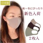 マスク 日本製 2枚入 即納 秋 秋冬 マスク ピッタマスク スモール 小さめ 洗える 布マスク 肌にやさしい 洗えるマスク UVカット