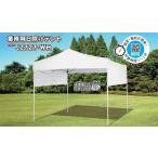 [ юридическое лицо * частное лицо проект . sama ограничение ]. сон оригинал палатка 2.7×2.7m половина занавес есть белый J-2727-WH палатка брезентовый тент тент навес простой водонепроницаемый предотвращение бедствий установка . покупка 