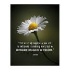 【並行輸入品】 Socrates Quotes Wall Art - Inspirat