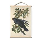 【並行輸入品】 John James Audubon Canvas Wall Art Crow Poster - Vintage Animal Painting Print Wood Frame Hanging Poster Famous Painting Print Suitable