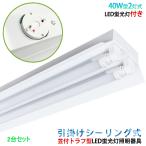 LED лампа дневного света осветительное оборудование .. изоляция тип . есть to черновой type 40W type 2 тип света потолочный светильник LED беж скользящий LED лампа дневного света имеется 2 шт. комплект 