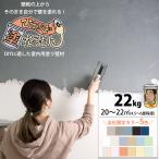 ショッピング古 ひとりで塗れるもん 壁材 漆喰風 DIY 簡単 塗り壁 内装用 塗料 22kg 全17色 JQ