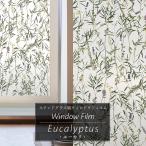  витражное стекло способ плёнка пленка для стекол тонировка стёкол пленкой окно стекло глаз .. модный сиденье эвкалипт C-F-1