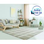 消臭カーペット ホットカーペットカバー 床暖房OK ファブリーズ ラグ 消臭 抗菌 防ダニ 洗濯機洗いOK ウォッシャブル ノッカ 約130cmX190cm