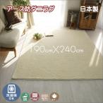 洗濯機で洗える アース防ダニ ラグ カーペット ホットカーペット対応 ポッシュ 約190cmX240cm