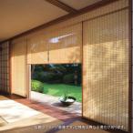 タチカワ ロールスクリーン ロールカーテン ラルク 防炎 竹すだれ バンブー 庵 いおり RS1670〜1671 幅25〜49cmX丈30〜80cmまで(シールドなし)