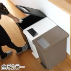 ゴミ箱 20L ユニード プッシュ＆ペダル （ 20リットル ふた付き 分別 キッチン ダストボックス スリム 分別ゴミ箱 棚下 カウンター下 ）