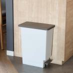 ゴミ箱 20L スリムペダル ふた付き （ ごみ箱 20リットル スリム ペダル キッチン 分別 ダストボックス 縦型 シンプル おしゃれ 分別ゴミ箱 ）