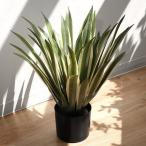 人工観葉植物 アガベ 50cm フェイク�