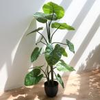 人工観葉植物 クワズイモ 117cm フェ�