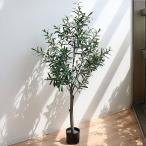 人工観葉植物 オリーブ 152cm フェイ�
