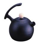 鉄瓶 1L ガス火専用 ブランニューケトル 南部鉄器 日本製 ( ガス火専用 ガス火 直火 1.0リットル 1リットル 鉄器 急須 )