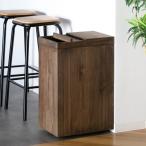 ゴミ箱 45L 木製 スライドダストボックス 天然木 ふた付き （ ごみ箱 45リットル インテリア ナチュラル 袋が見えない 棚下設置 大容量 インナーペール ）