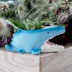  посадочная машина динозавр серии mosasaurus( цветочный горшок план to pot растения для pot Mini pot настольный pot горшок динозавр 1 номер )