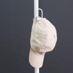 tatecco детали .... крюк длина ..( специальный детали специальный аксессуары .. обивка paul (pole) длина .. paul (pole) аксессуары cusomize крюк )