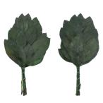 . обрядовые предметы консервированный . Mini . один на высота 20cm ( искусственный цветок консервированный цветок .. нет вода взамен не необходимо домашний алтарь ... лист цветок поддельный цветок искусственная зелень )