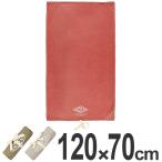 レジャーシート　ANCIENT　OUTDOOR GOODS　120×70cm　S　ペグ穴付き （ レジャーマット ピクニックシート ピクニック マット ）