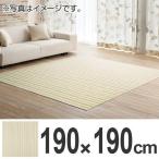 ■在庫限り・入荷なし■ラグ　カーペット　スミノエ　アクアミスト　防音　190×190cm （ ラグマット センターラグ ）