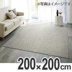 ■在庫限り・入荷なし■ ラグ　カーペット　スミノエ　クリーンドット　200×200cm （ ラグマット センターラグ ）