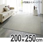 ■在庫限り・入荷なし■ ラグ　カーペット　スミノエ　クリーンドット　200×250cm （ ラグマット センターラグ ）