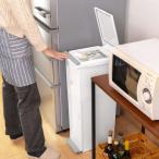 ゴミ箱 38L 2段 分別 スリム （ ごみ箱 38l 38リットル スリム キッチン ふた付き パッキン付き 防臭 縦型 分別ゴミ箱 大容量 プッシュ ペダル 密閉 ）