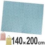 ■在庫限り・入荷なし■レジャーシート　FiNE DAYS　ファインデイズ　4〜6人用　140×200cm　L　バッグ付き （ レジャーマット ピクニックシート ピクニック