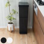 ショッピング分別 ゴミ箱 38L 2段 分別 スリム パッキン付き ペダル プッシュ 公認ショップ限定 （ ごみ箱 38リットル キッチン ふた付き 防臭 縦型 分別ゴミ箱 大容量 ）