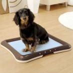  tray домашнее животное для туалета для домашних животных . тяпка . простыня tray постоянный ( домашнее животное простыня tray ... туалет коврик домашнее животное игрушка Repetto Ricci .ru)