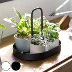  дополнительный подарок Yamazaki реальный индустрия tower дополнение tray tower руль имеется ( 4903208110365 tower серии tray дополнение . лекарство дополнение класть )