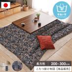 こたつ掛け布団 長方形 200×300cm こたつ布団 省スペース マイクロファイバー 洗える コタツ布団 炬燵布団 掛け布団 イケヒコ エネル