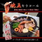 【焼肉プレート】煙が気にならない お部屋OK 軽量で収納楽 ダイエット 遠赤外線効果でおいしく焼ける セラコール炭火焼器 CE-401 (焼肉プレート)