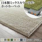 ホットカーペット カバー ミックスカラーホットカーペットカバー-ルーナ 2畳 200x200cm ホットカーペット本体セット 洗える