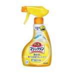  Kao автобус Magic Lynn пена .. спрей корпус 435811