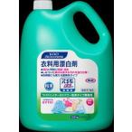 ショッピングワイドハイター 花王 ワイドハイターＥＸパワー粉末タイプ業務用 334664 1個